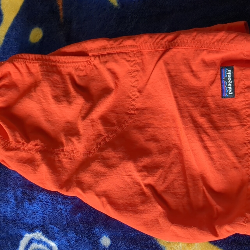 Patagonia Swim Trunks